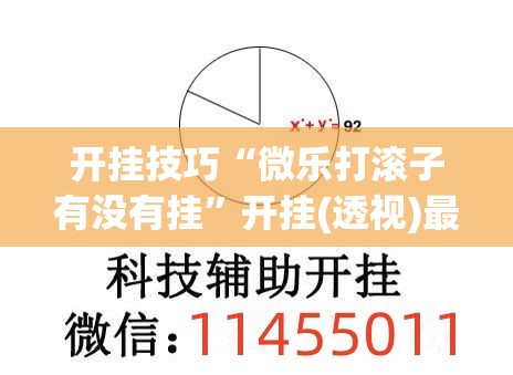 开挂技巧“微乐打滚子有没有挂”开挂(透视)最新辅助详细