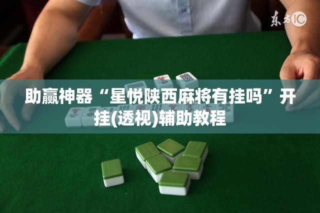 助赢神器“星悦陕西麻将有挂吗”开挂(透视)辅助教程