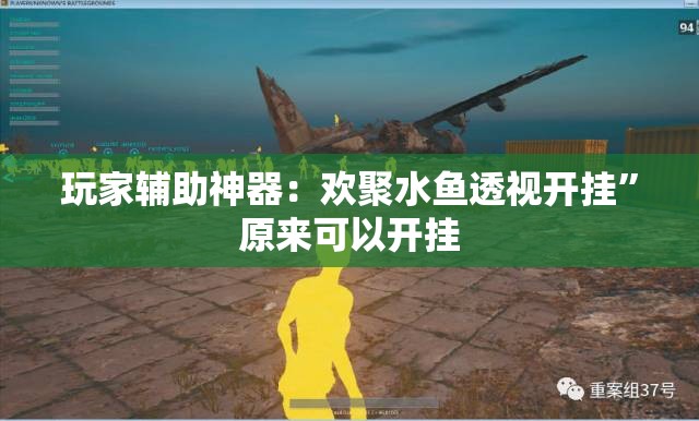 玩家辅助神器：欢聚水鱼透视开挂”原来可以开挂